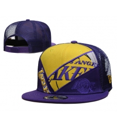 NBA Los Angeles Lakers Hats-916