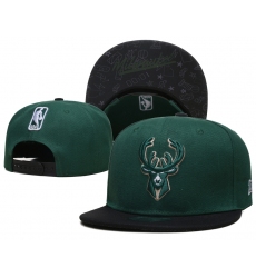 NBA Milwaukee Bucks Hats-903